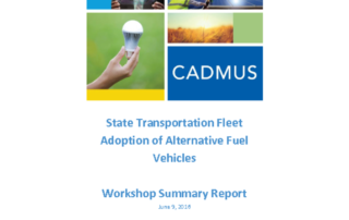 thumbnail of Austin_Fleets_Workshop_Summary_Report
